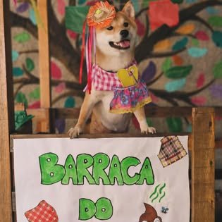 Pet do Green Dogs