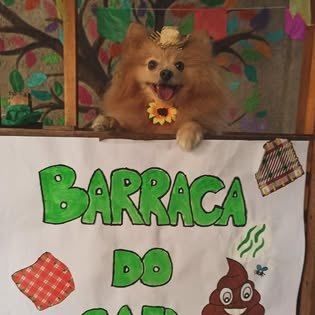 Pet do Green Dogs